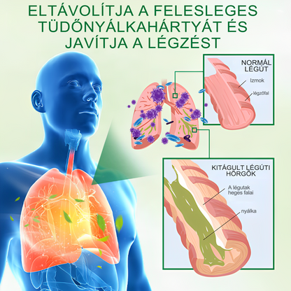 🍀𝐆𝐨𝐨𝐲𝐞𝐞𝐫™ Fejlett Tüdőtisztító Spray -Támogatja a tüdő, a hörgők és az orrmelléküregek egészségét, elősegíti a légzőrendszer egészségét és a könnyebb légzést